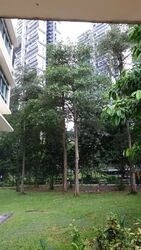 Blk 61C Strathmore Green (Queenstown), HDB 4 Rooms #565238721